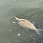 Profilova fotografia LRU-admin