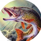 Profilova fotografia Daniel