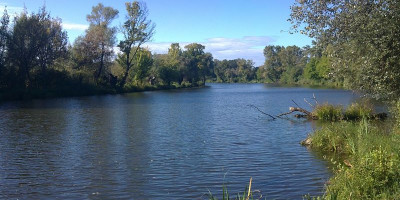 Maver feeder cup Aggerdo