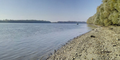 Tubertini Feeder Cup 10. rocnik